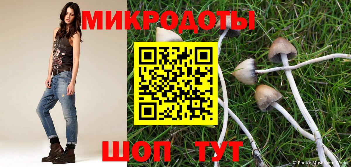 Кинешма  Псилоцибиновые грибы MAGIC MUSHROOMS  Вход с VPN 
